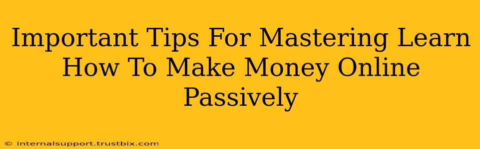 Important Tips For Mastering Learn How To Make Money Online Passively