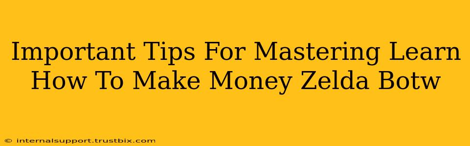 Important Tips For Mastering Learn How To Make Money Zelda Botw