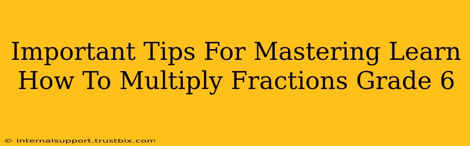 Important Tips For Mastering Learn How To Multiply Fractions Grade 6