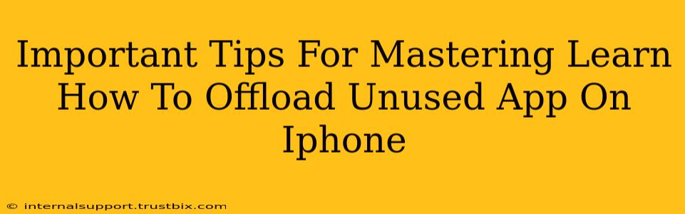 Important Tips For Mastering Learn How To Offload Unused App On Iphone