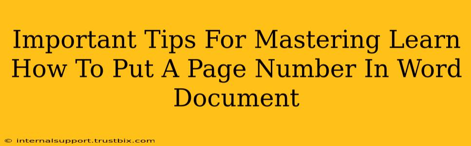 Important Tips For Mastering Learn How To Put A Page Number In Word Document