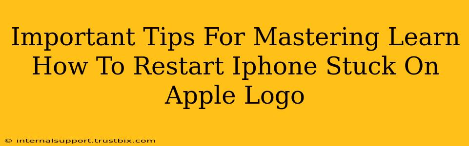 Important Tips For Mastering Learn How To Restart Iphone Stuck On Apple Logo