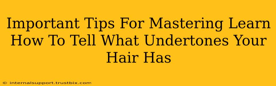 Important Tips For Mastering Learn How To Tell What Undertones Your Hair Has