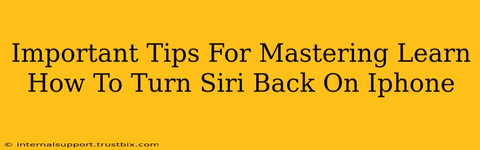 Important Tips For Mastering Learn How To Turn Siri Back On Iphone