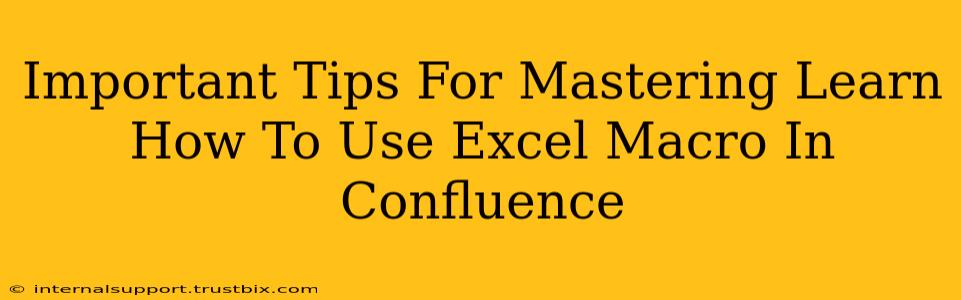 Important Tips For Mastering Learn How To Use Excel Macro In Confluence