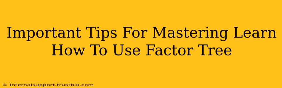 Important Tips For Mastering Learn How To Use Factor Tree