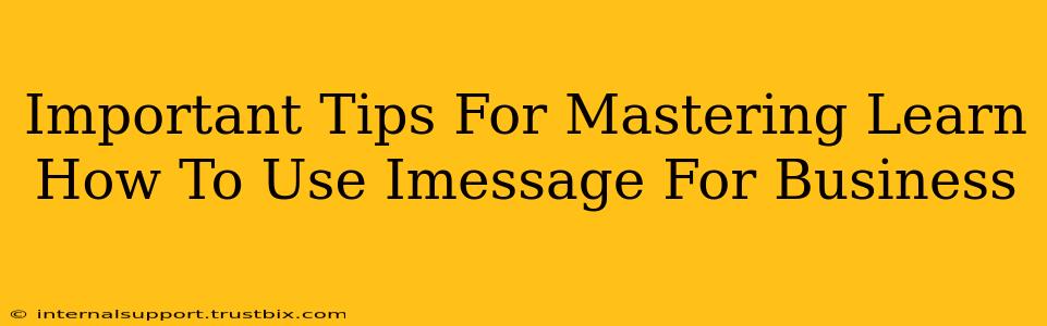 Important Tips For Mastering Learn How To Use Imessage For Business