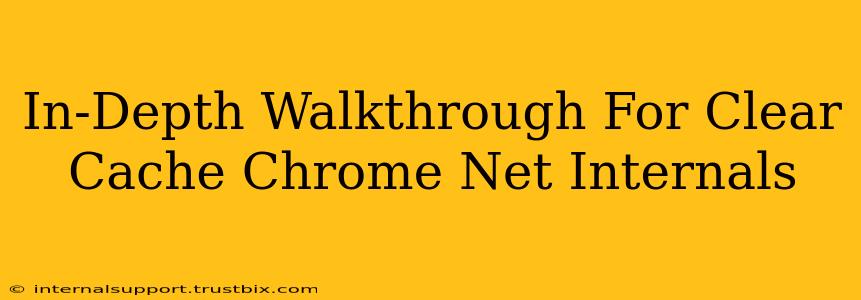 In-Depth Walkthrough For Clear Cache Chrome Net Internals