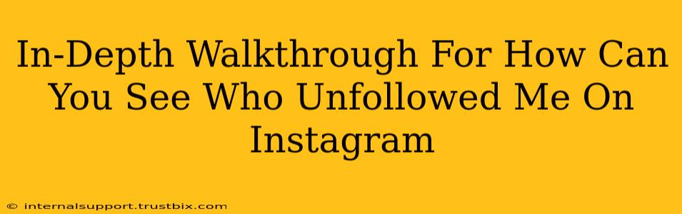 In-Depth Walkthrough For How Can You See Who Unfollowed Me On Instagram