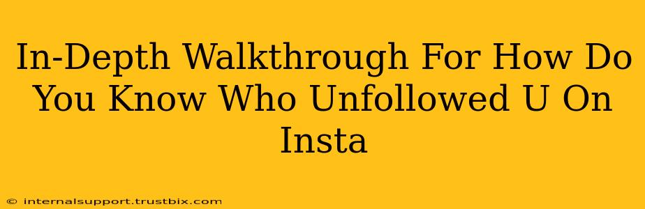 In-Depth Walkthrough For How Do You Know Who Unfollowed U On Insta