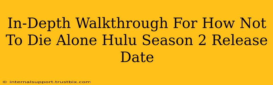 In-Depth Walkthrough For How Not To Die Alone Hulu Season 2 Release Date