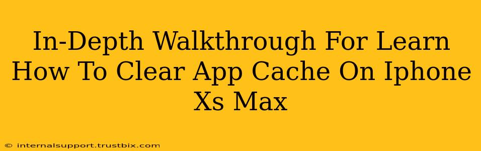 In-Depth Walkthrough For Learn How To Clear App Cache On Iphone Xs Max