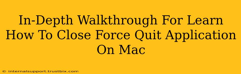 In-Depth Walkthrough For Learn How To Close Force Quit Application On Mac