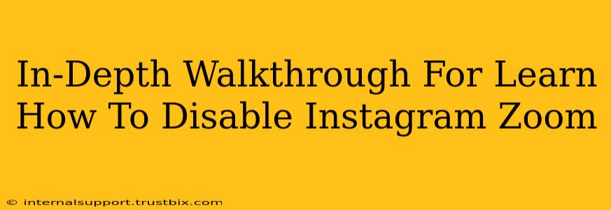 In-Depth Walkthrough For Learn How To Disable Instagram Zoom