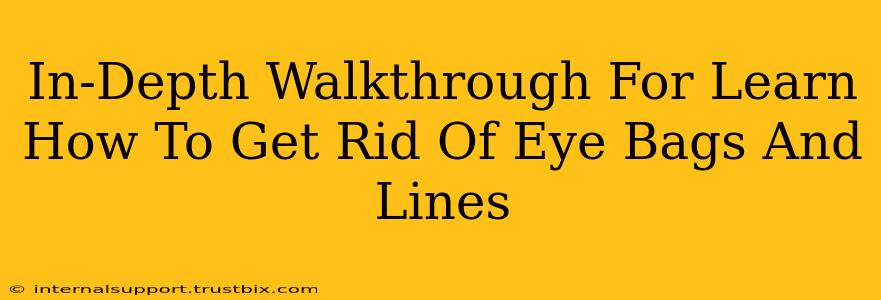 In-Depth Walkthrough For Learn How To Get Rid Of Eye Bags And Lines