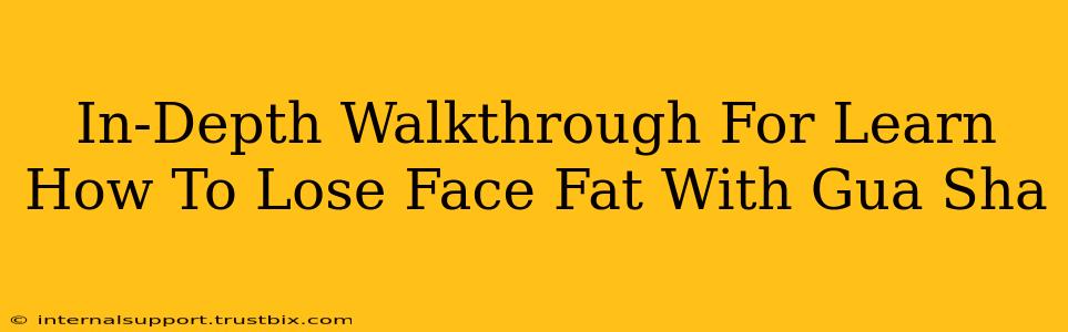 In-Depth Walkthrough For Learn How To Lose Face Fat With Gua Sha