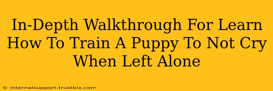 In-Depth Walkthrough For Learn How To Train A Puppy To Not Cry When Left Alone