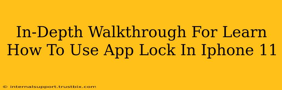 In-Depth Walkthrough For Learn How To Use App Lock In Iphone 11