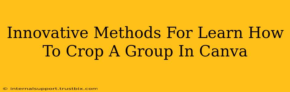 Innovative Methods For Learn How To Crop A Group In Canva