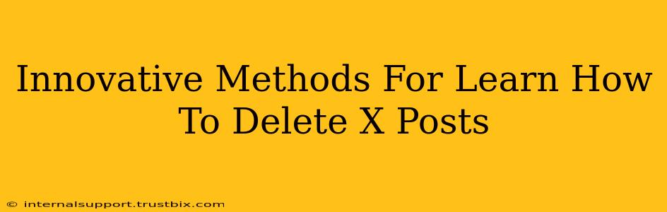 Innovative Methods For Learn How To Delete X Posts