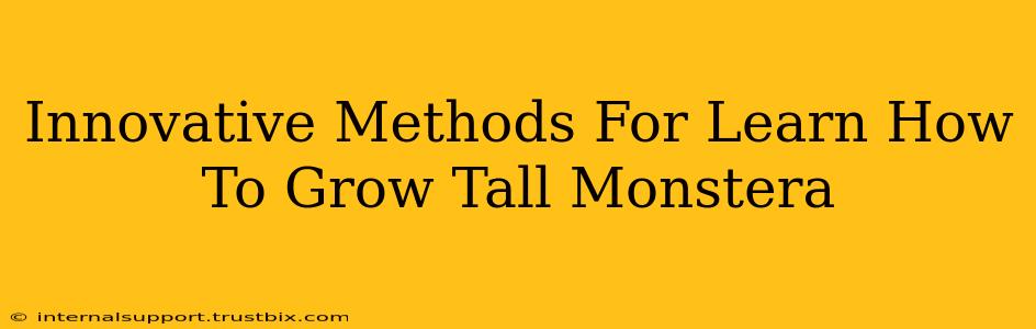 Innovative Methods For Learn How To Grow Tall Monstera