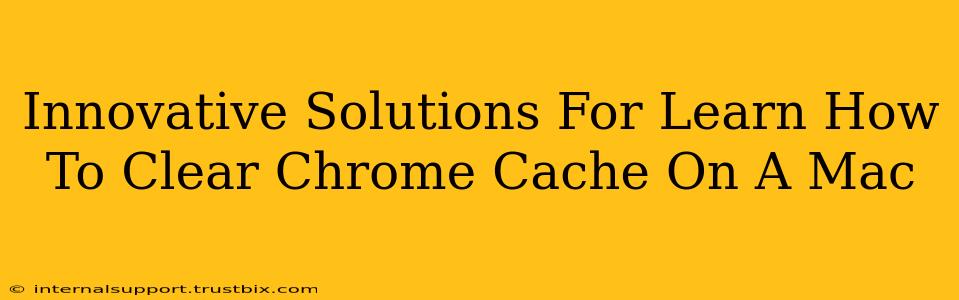 Innovative Solutions For Learn How To Clear Chrome Cache On A Mac