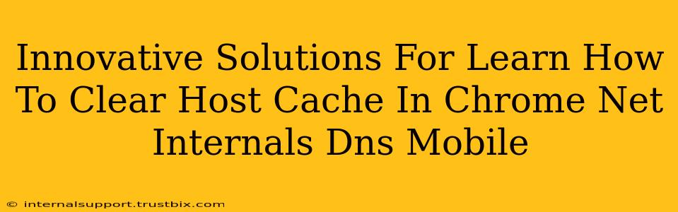 Innovative Solutions For Learn How To Clear Host Cache In Chrome Net Internals Dns Mobile