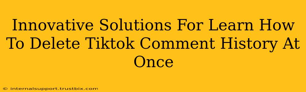 Innovative Solutions For Learn How To Delete Tiktok Comment History At Once