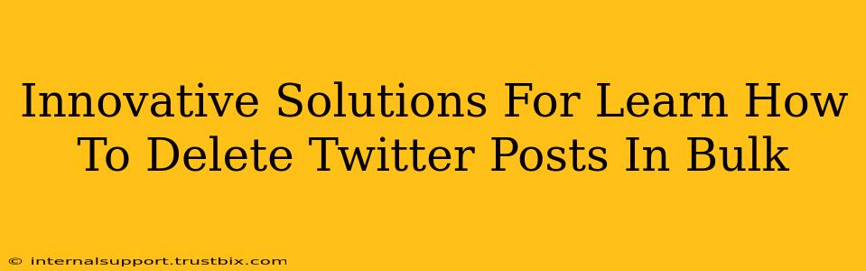 Innovative Solutions For Learn How To Delete Twitter Posts In Bulk