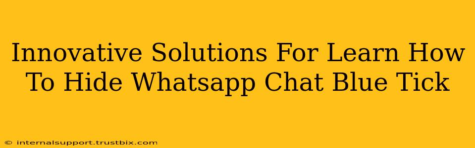 Innovative Solutions For Learn How To Hide Whatsapp Chat Blue Tick