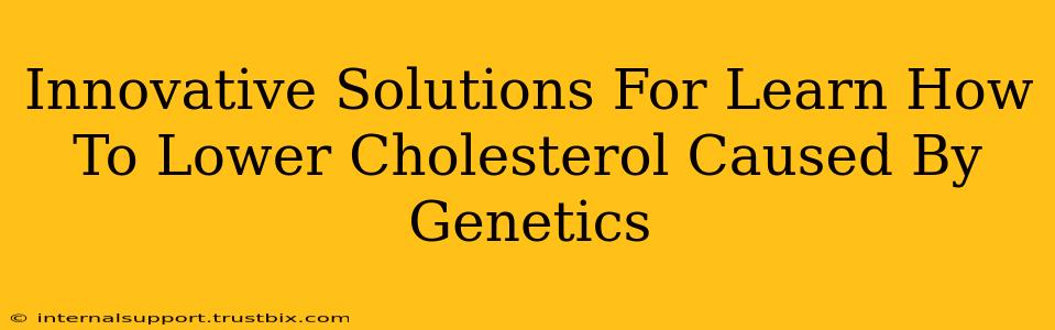 Innovative Solutions For Learn How To Lower Cholesterol Caused By Genetics