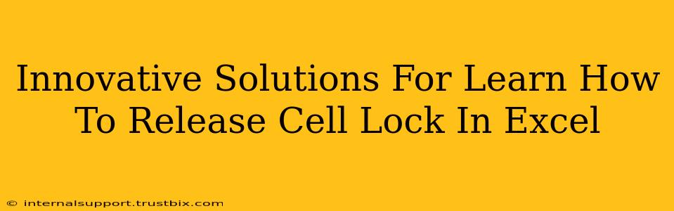 Innovative Solutions For Learn How To Release Cell Lock In Excel