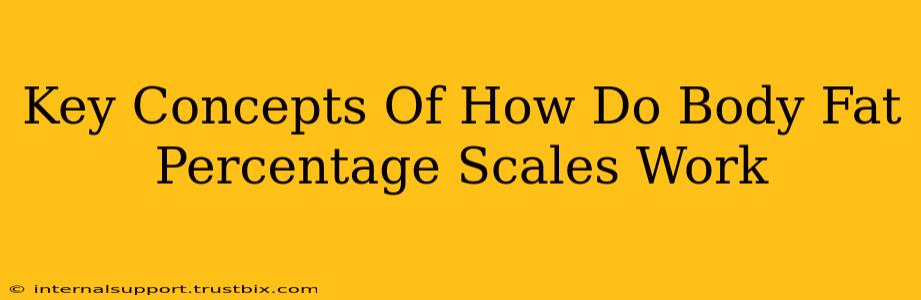 Key Concepts Of How Do Body Fat Percentage Scales Work