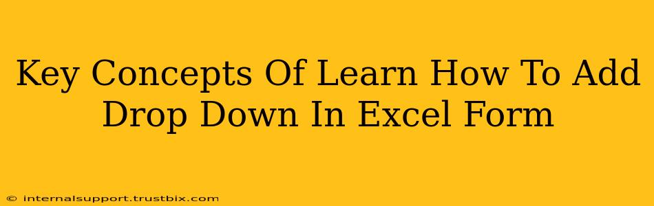 Key Concepts Of Learn How To Add Drop Down In Excel Form