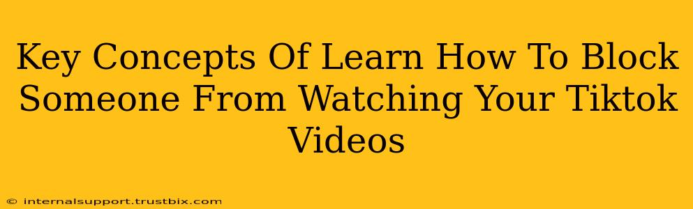 Key Concepts Of Learn How To Block Someone From Watching Your Tiktok Videos