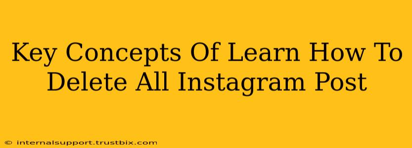 Key Concepts Of Learn How To Delete All Instagram Post