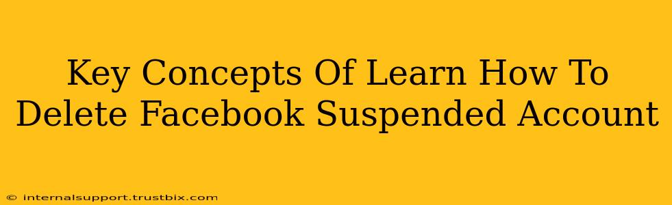 Key Concepts Of Learn How To Delete Facebook Suspended Account