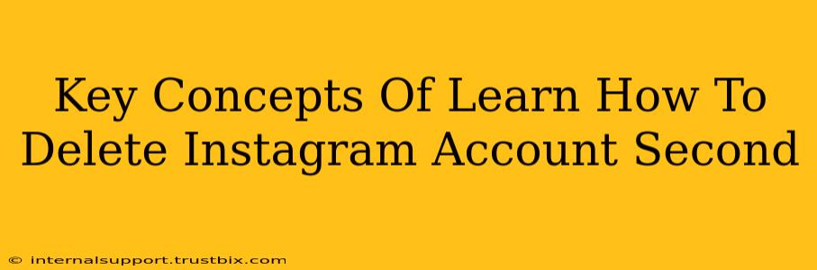 Key Concepts Of Learn How To Delete Instagram Account Second