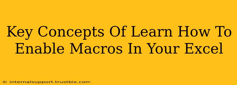 Key Concepts Of Learn How To Enable Macros In Your Excel