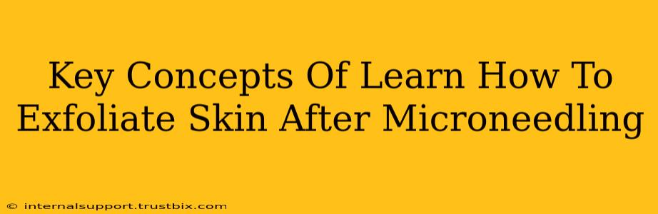 Key Concepts Of Learn How To Exfoliate Skin After Microneedling