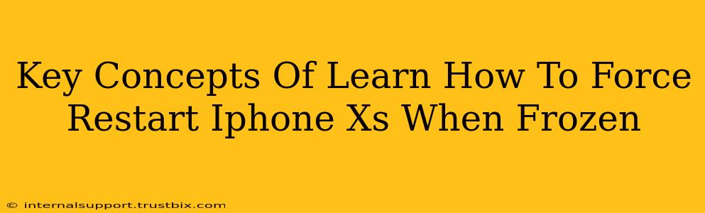 Key Concepts Of Learn How To Force Restart Iphone Xs When Frozen