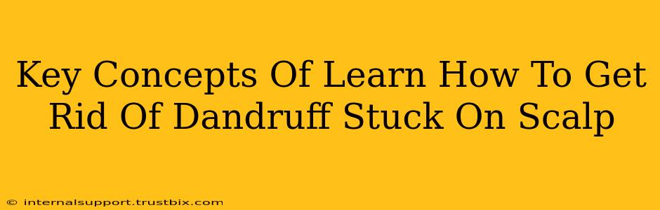 Key Concepts Of Learn How To Get Rid Of Dandruff Stuck On Scalp