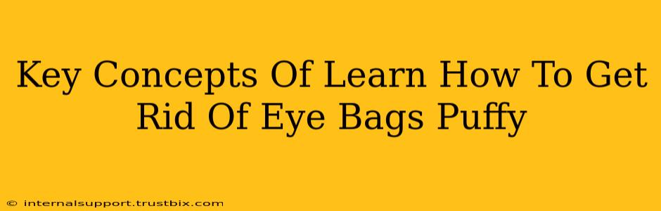 Key Concepts Of Learn How To Get Rid Of Eye Bags Puffy