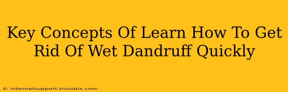 Key Concepts Of Learn How To Get Rid Of Wet Dandruff Quickly