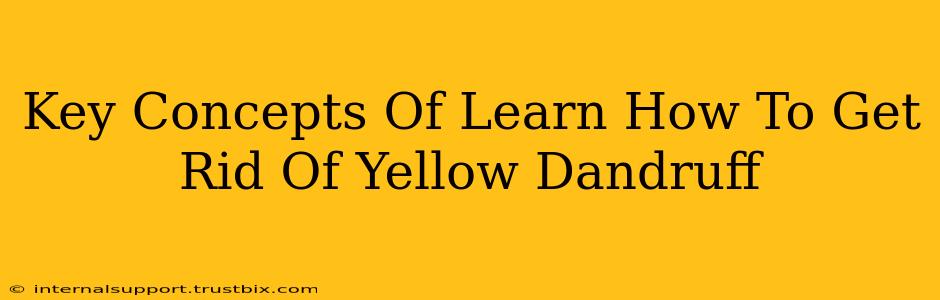 Key Concepts Of Learn How To Get Rid Of Yellow Dandruff