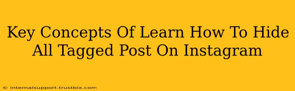 Key Concepts Of Learn How To Hide All Tagged Post On Instagram