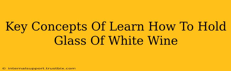 Key Concepts Of Learn How To Hold Glass Of White Wine