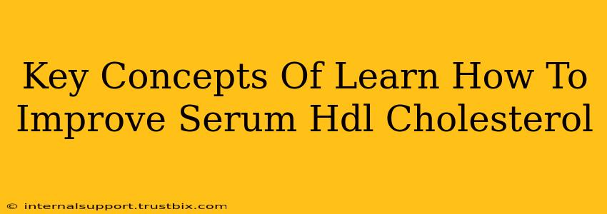 Key Concepts Of Learn How To Improve Serum Hdl Cholesterol