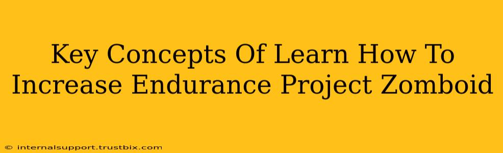 Key Concepts Of Learn How To Increase Endurance Project Zomboid