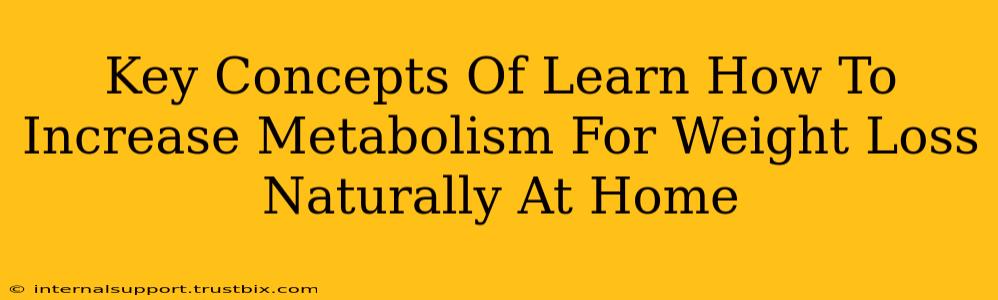 Key Concepts Of Learn How To Increase Metabolism For Weight Loss Naturally At Home